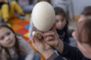 Artigo a natureza dos ovos de ouro